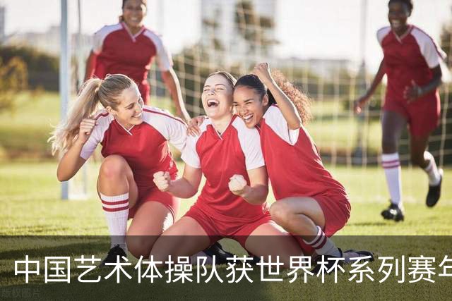 中国艺术体操队获世界杯系列赛年度“双料”第一