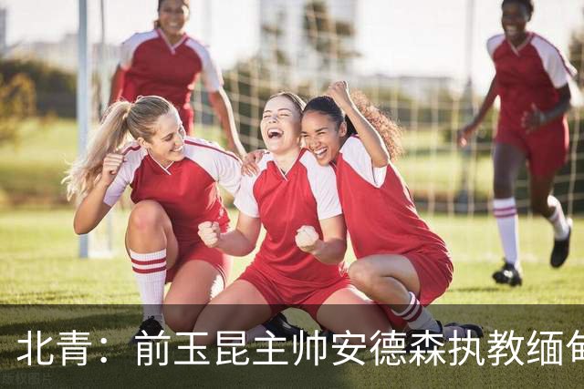 北青：前玉昆主帅安德森执教缅甸国家队，亚洲足坛执教履历丰富