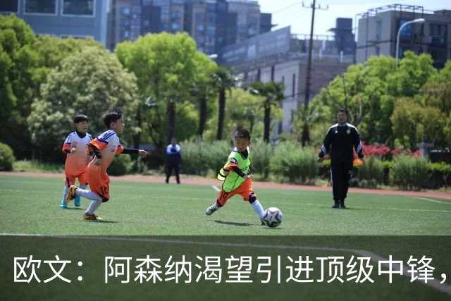 欧文：阿森纳渴望引进顶级中锋，卫冕英超指日可待！