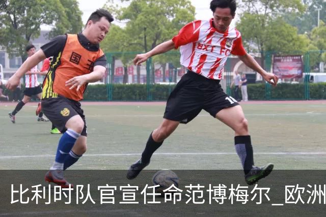 比利时队官宣任命范博梅尔 欧洲红魔再请荷兰教头