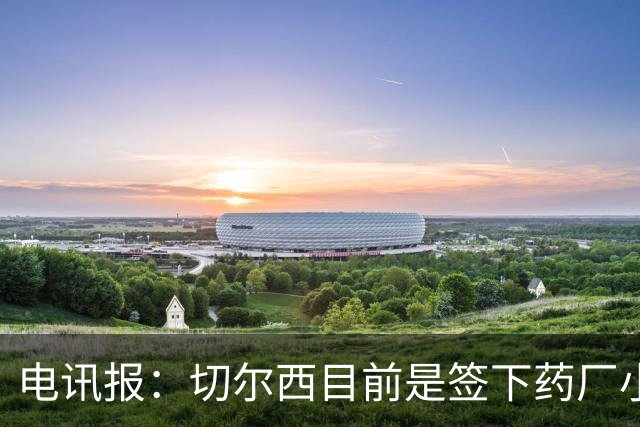 电讯报：切尔西目前是签下药厂小将阿拉伊贝戈维奇的最大热门