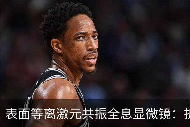 表面等离激元共振全息显微镜：折射率与厚度测量的新突破