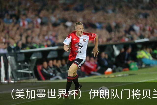 （美加墨世界杯）伊朗队门将贝兰万德的“满分”