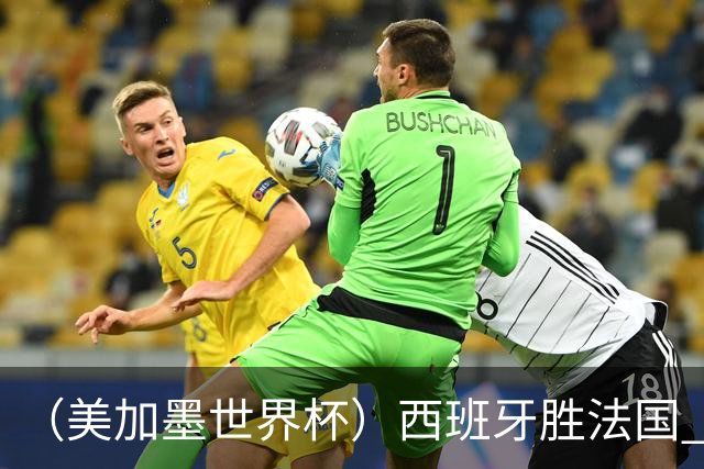 （美加墨世界杯）西班牙胜法国 队史第二次闯入世界杯决赛